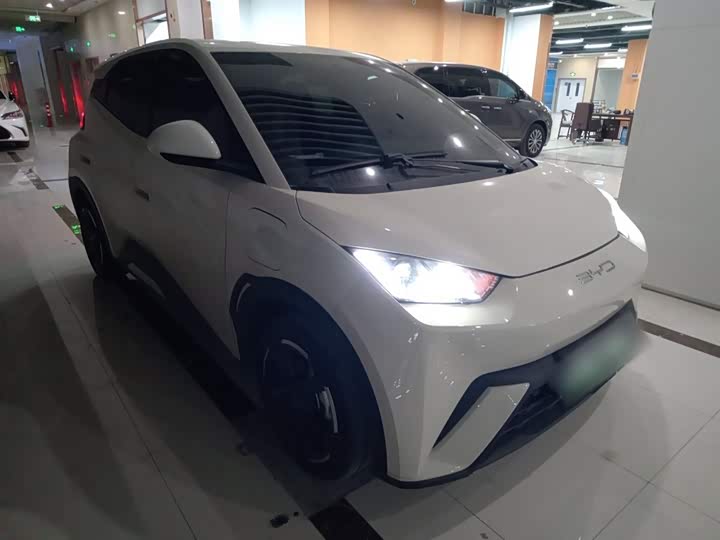 Фото 4 - BYD Seagull