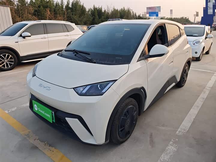 Фото 1 - BYD Seagull