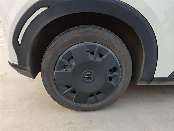 Фото 26 - BYD Seagull