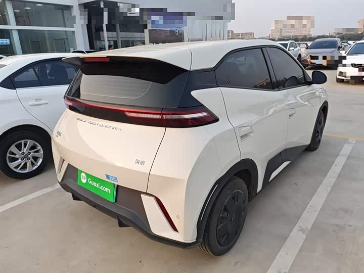 Фото 7 - BYD Seagull