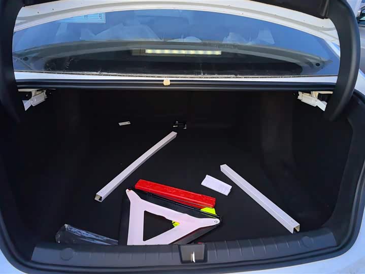 Фото 4 - BYD Qin Plus