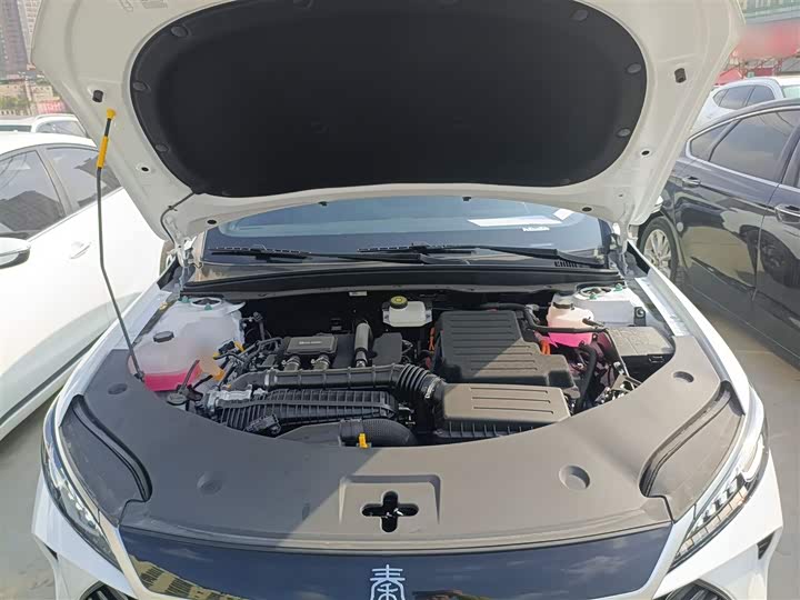 Фото 20 - BYD Qin Plus