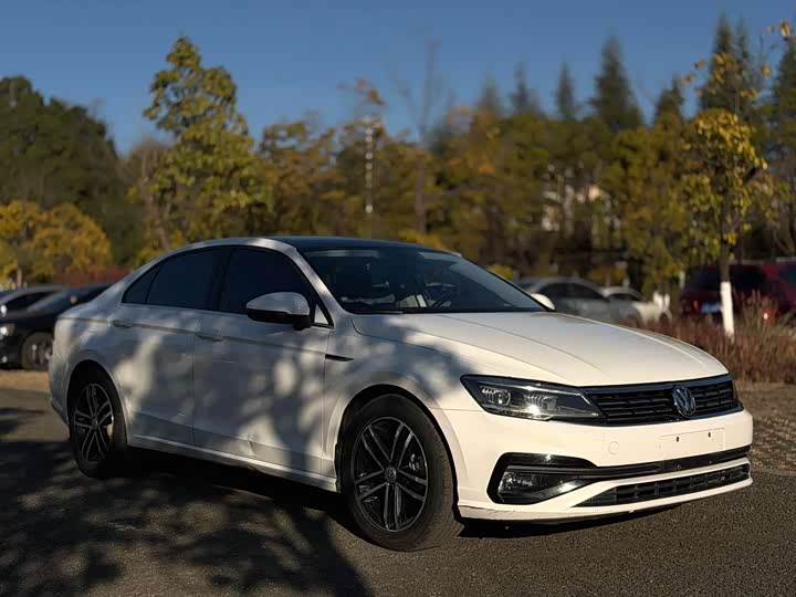 Фото 3 - Volkswagen Lamando L