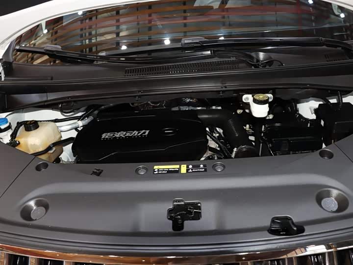 Фото 21 - GAC Trumpchi M8