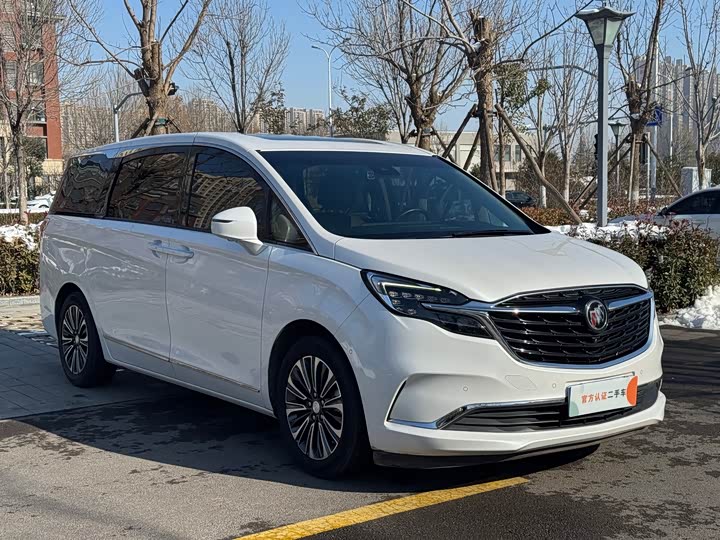 Фото 3 - Buick GL8 ES