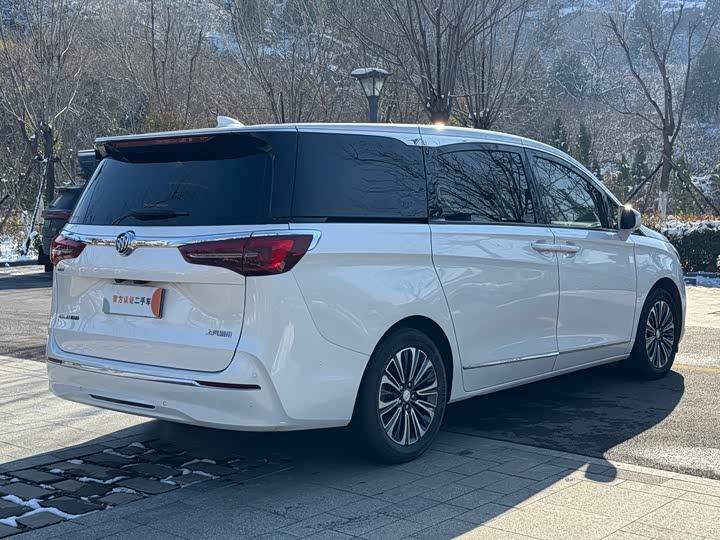 Фото 6 - Buick GL8 ES