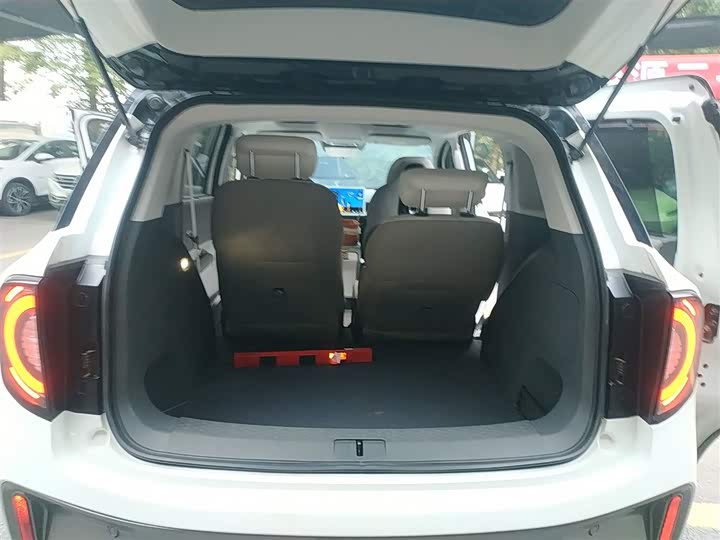 Фото 19 - BAIC Arcfox Kaola