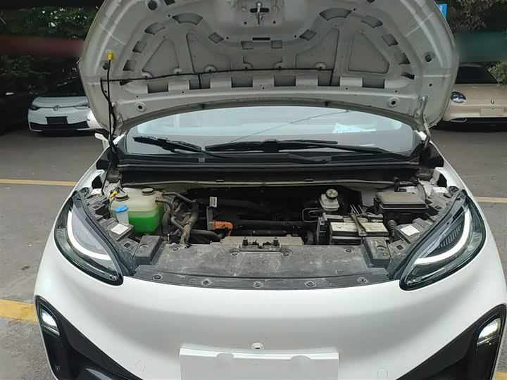 Фото 20 - BAIC Arcfox Kaola