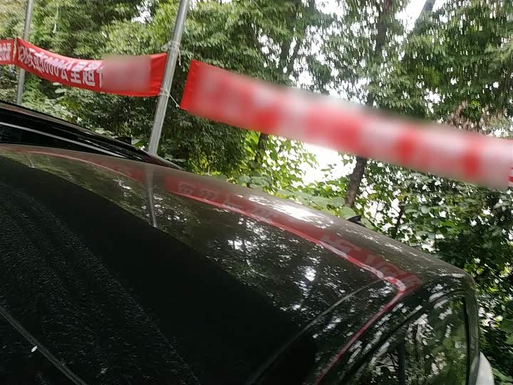 Фото 27 - BAIC Arcfox Kaola