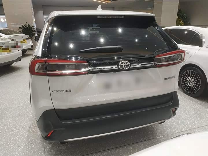 Фото 6 - Toyota Wildlander