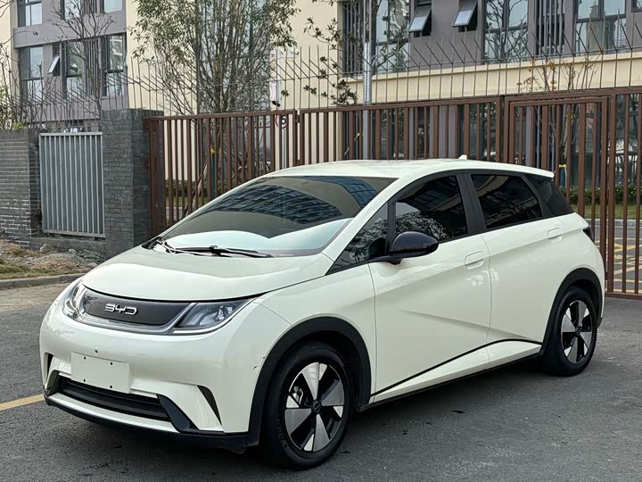 Фото 1 - BYD Dolphin