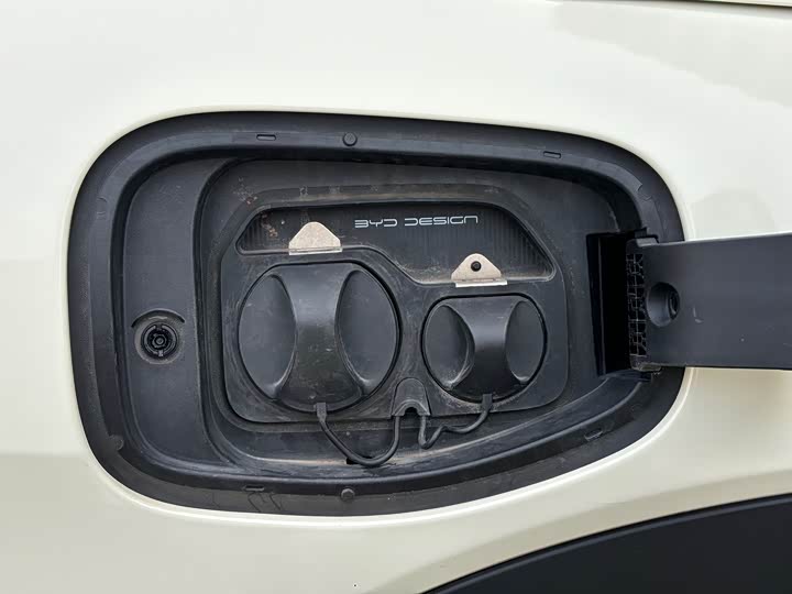 Фото 12 - BYD Dolphin