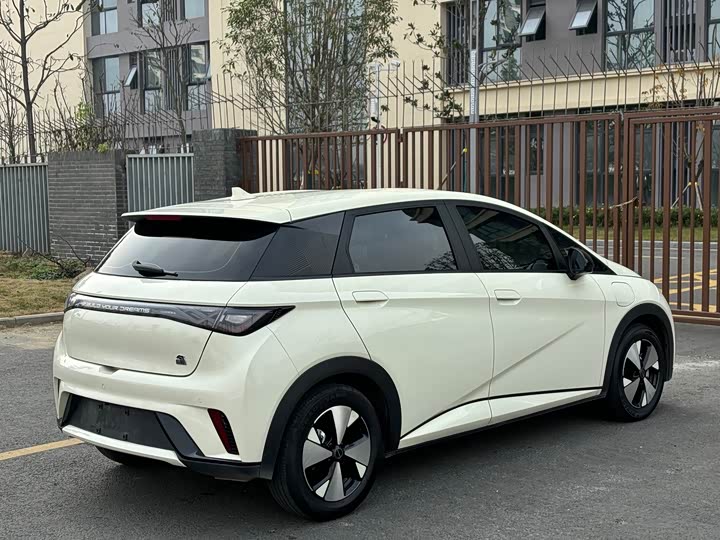 Фото 16 - BYD Dolphin