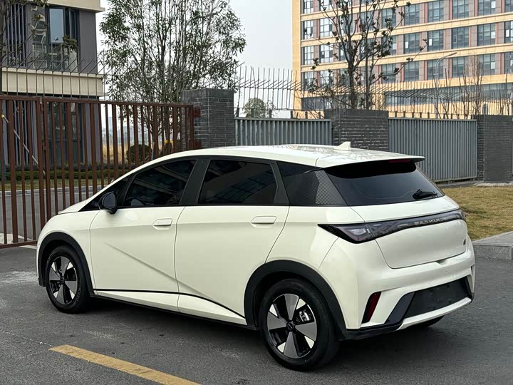 Фото 18 - BYD Dolphin