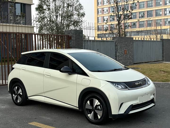 Фото 3 - BYD Dolphin