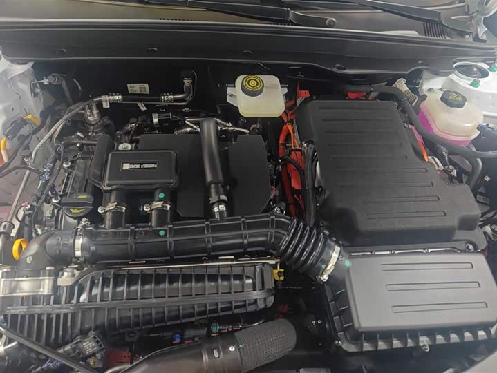 Фото 10 - BYD Qin Plus