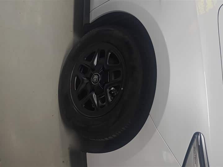 Фото 6 - BYD Qin Plus