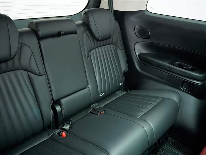 Фото 31 - GAC Trumpchi E9