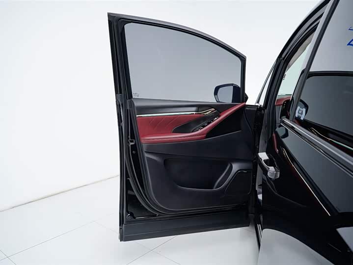 Фото 33 - GAC Trumpchi E9