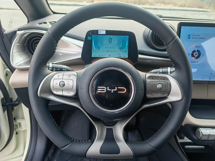 Фото 16 - BYD Dolphin