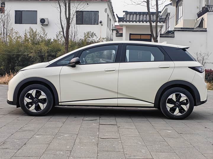 Фото 3 - BYD Dolphin