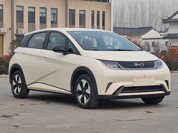 Фото 5 - BYD Dolphin