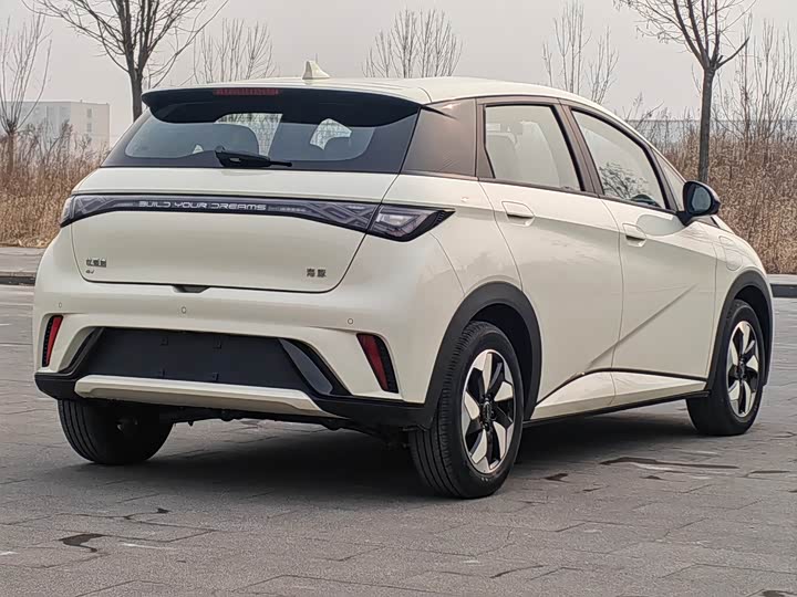 Фото 7 - BYD Dolphin