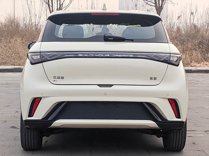 Фото 8 - BYD Dolphin