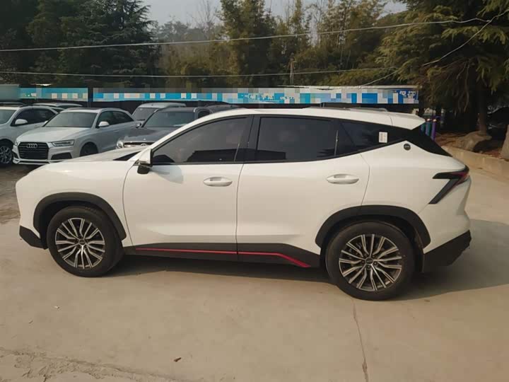 Фото 5 - Jetour Dashing