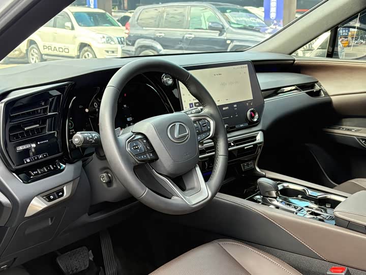 Фото 9 - Lexus RX