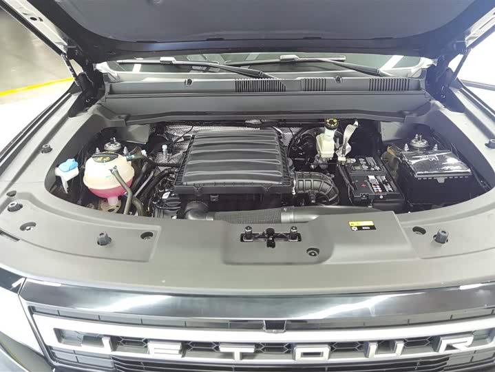 Фото 10 - Jetour Freedom