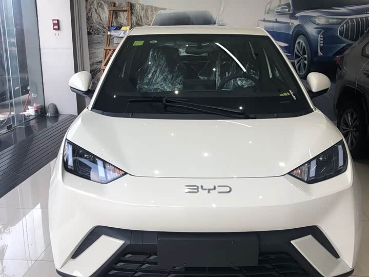 Фото 1 - BYD Seagull