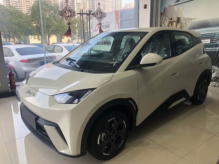 Фото 2 - BYD Seagull