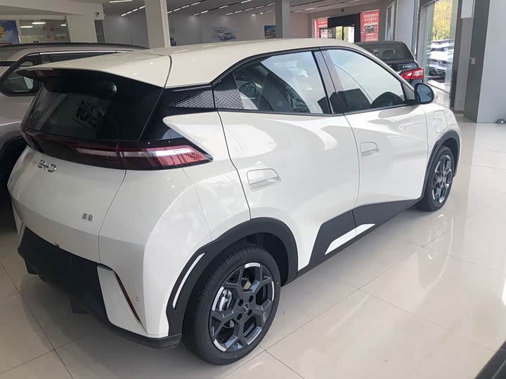 Фото 3 - BYD Seagull