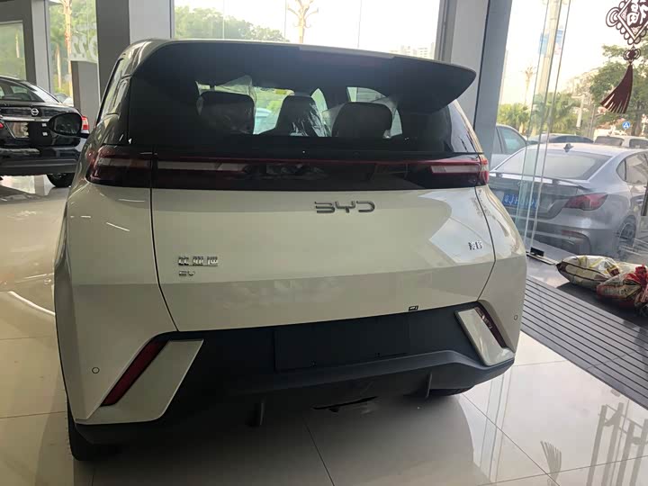 Фото 4 - BYD Seagull