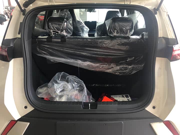 Фото 5 - BYD Seagull