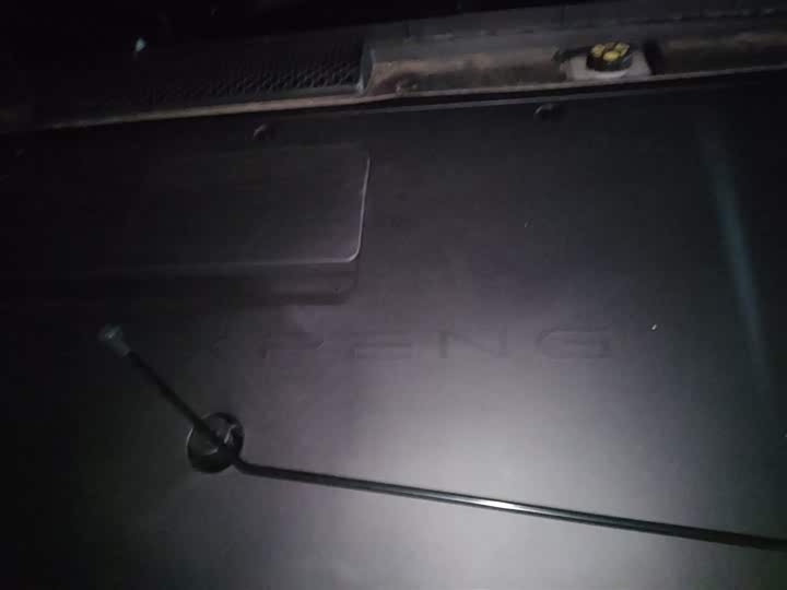 Фото 20 - XPeng F57