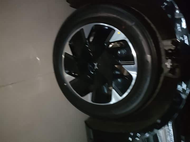 Фото 23 - XPeng F57