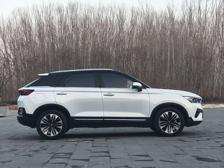 Фото 4 - Bestune T77