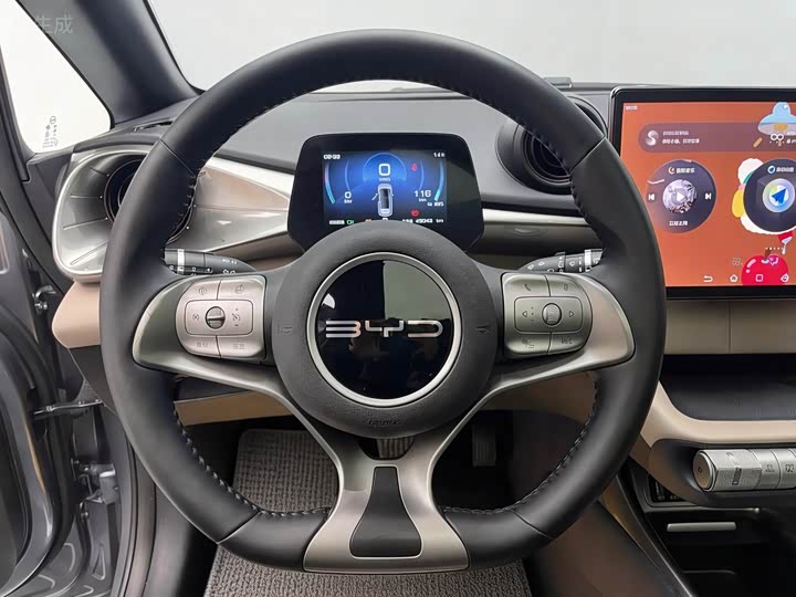 Фото 12 - BYD Dolphin