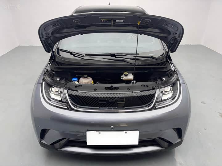 Фото 4 - BYD Dolphin