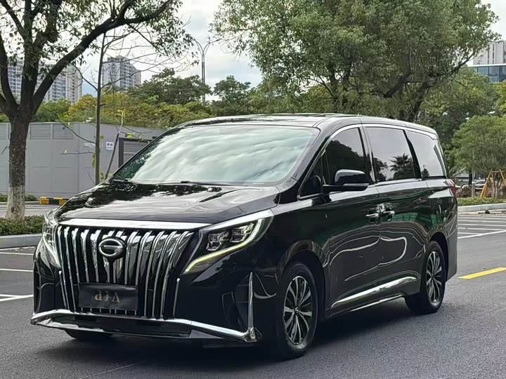 Фото 1 - GAC Trumpchi M8