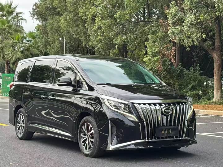 Фото 2 - GAC Trumpchi M8