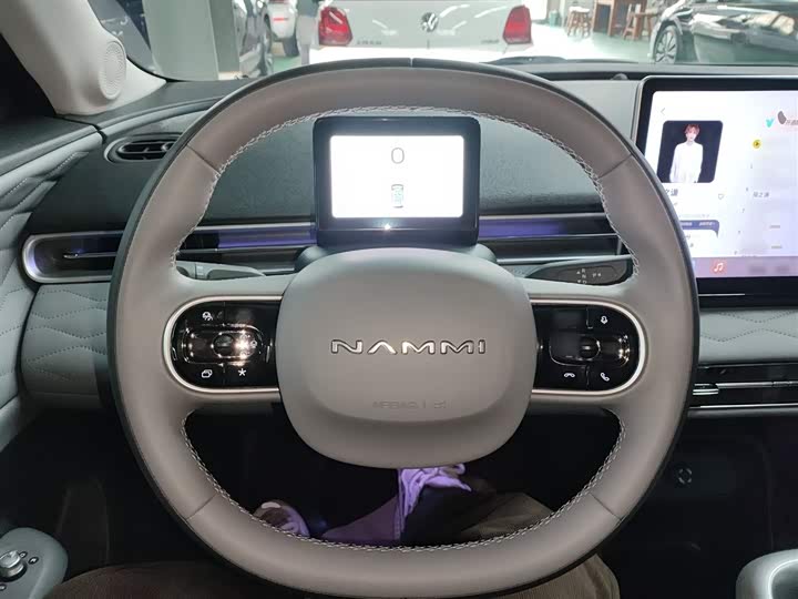 Фото 11 - Dongfeng Nammi 01