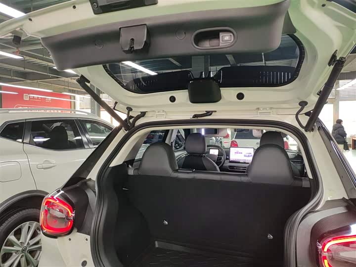 Фото 19 - Dongfeng Nammi 01