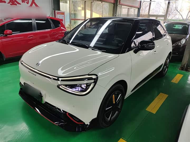 Фото 2 - Dongfeng Nammi 01