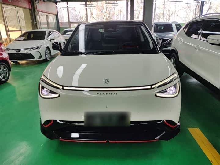 Фото 3 - Dongfeng Nammi 01