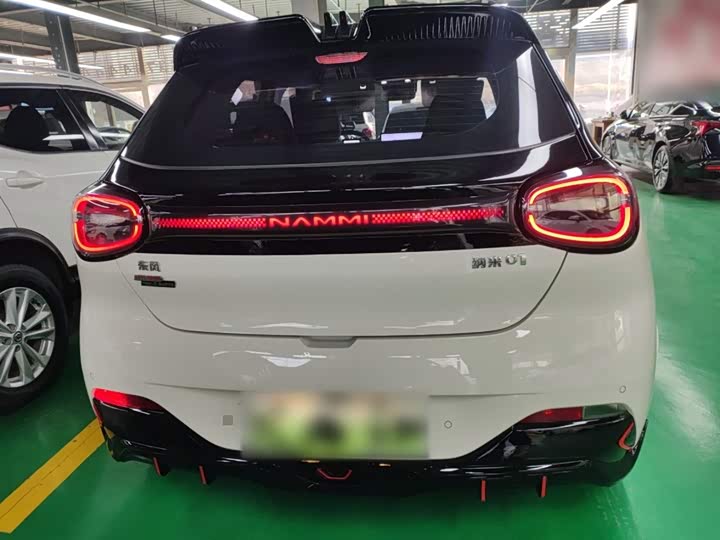 Фото 6 - Dongfeng Nammi 01