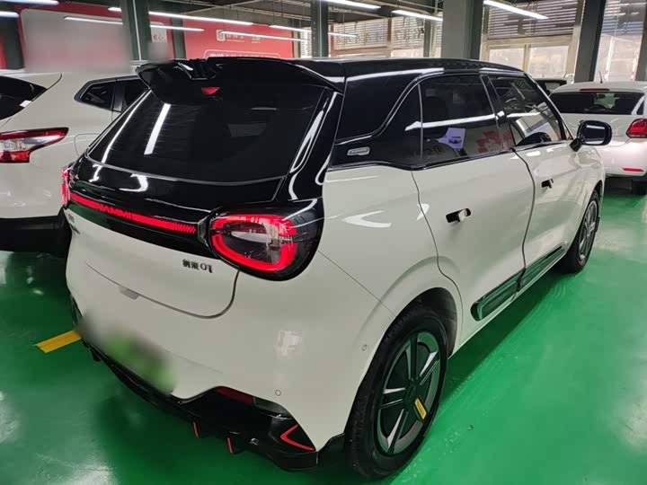 Фото 7 - Dongfeng Nammi 01