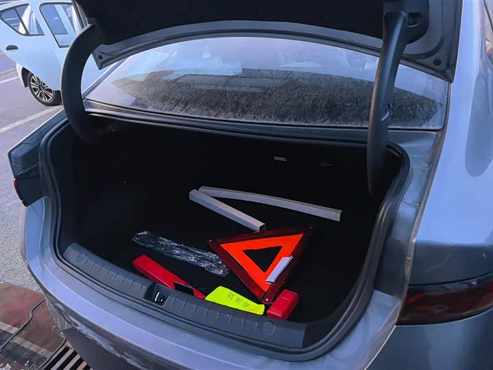 Фото 4 - BYD Qin Plus